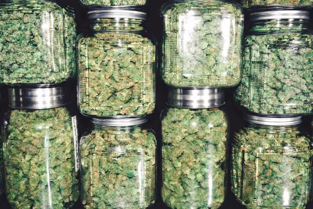 Curing cannabis in jars
