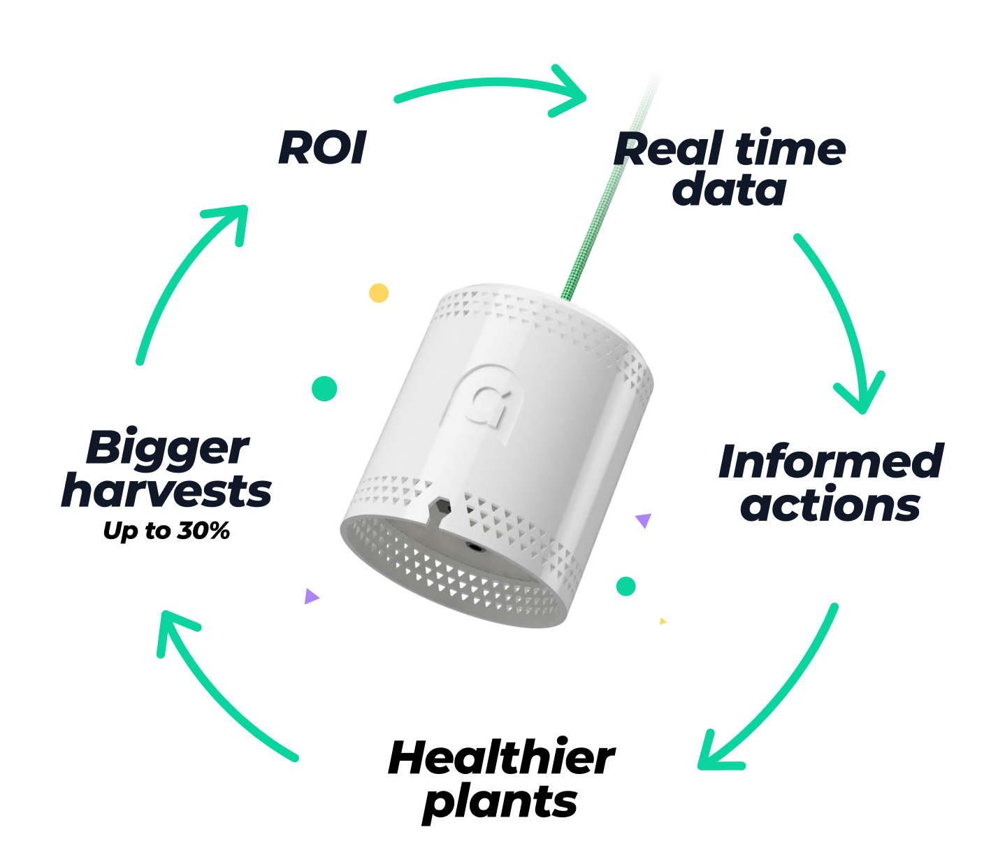 ROI ilustration