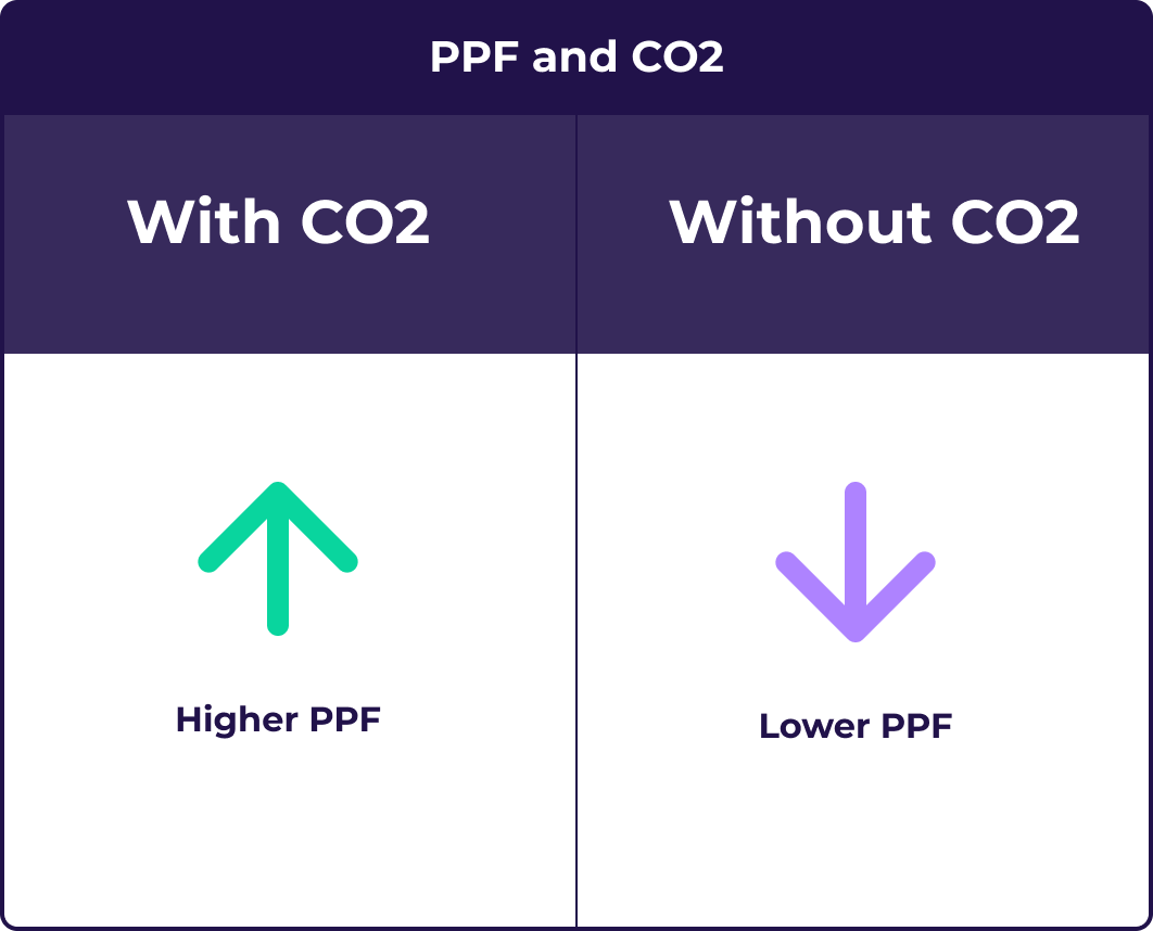 PPF and CO2 interaction illustration
