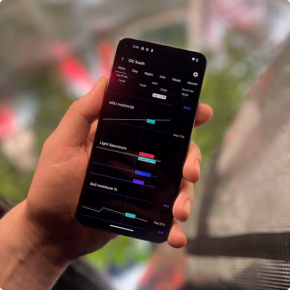 You can access your DLI information from within the app live at any point in time.