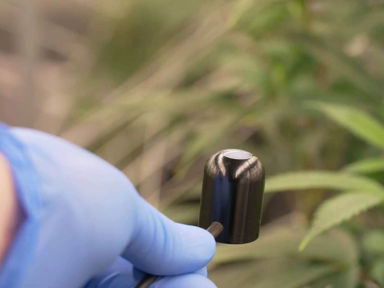 A PPFD light sensor