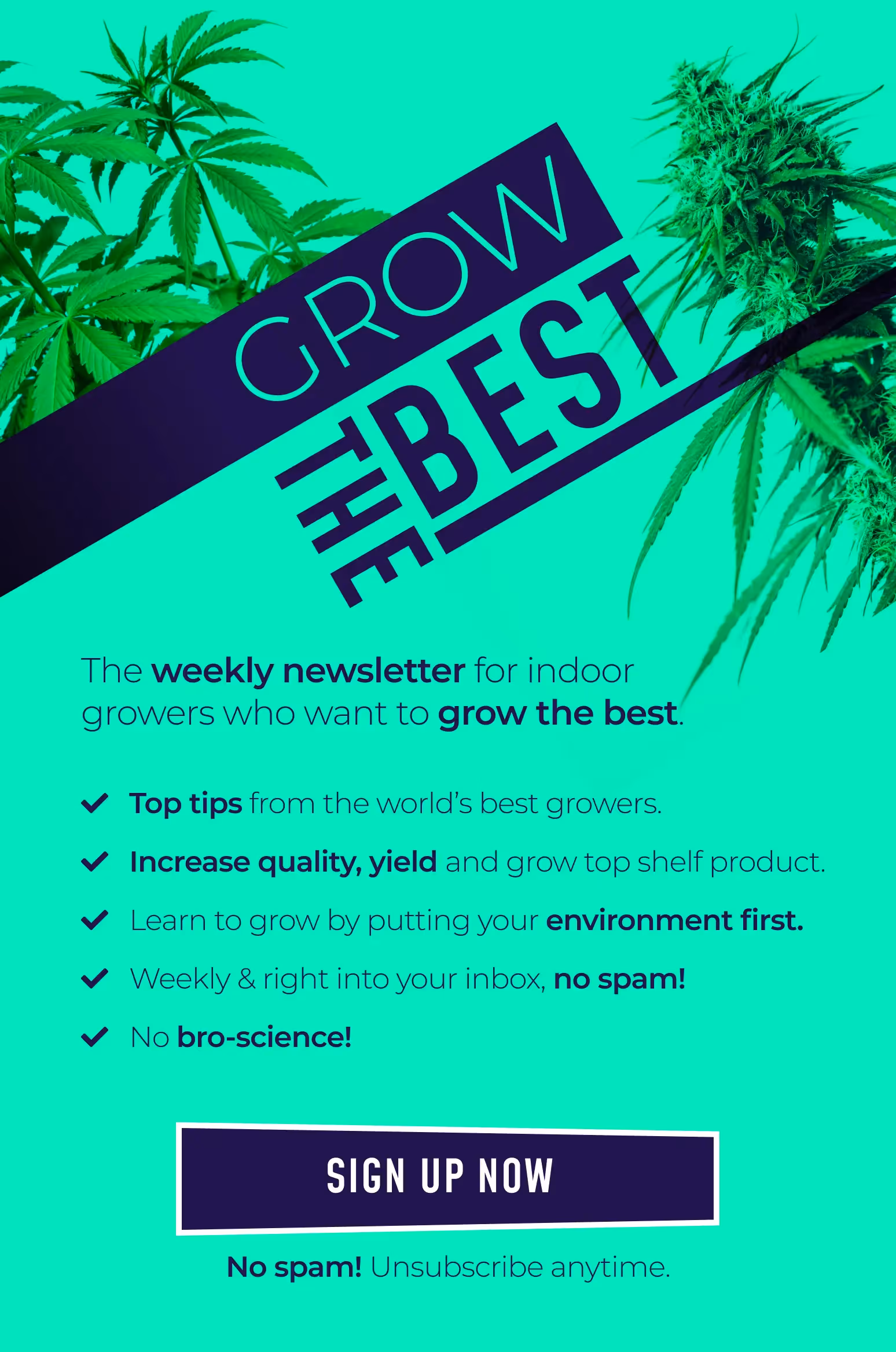 The weekly newsletter for indoor growers who want to grow the best cannabis