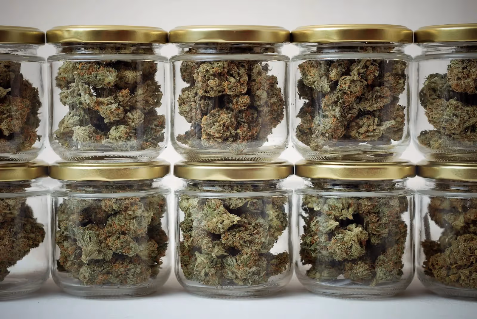 Cannabis drying and curing in glass jars.