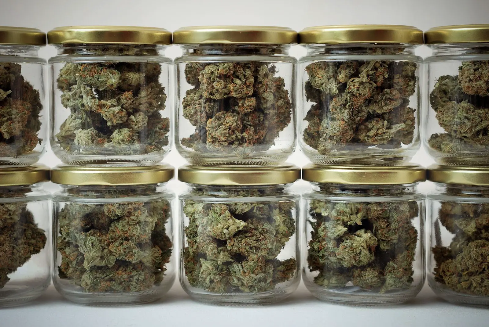 Cannabis drying and curing in glass jars.