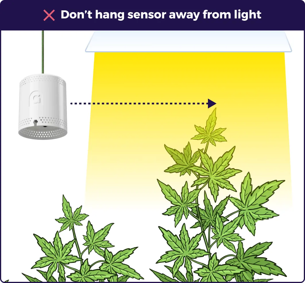 An illustration explaining that the grow sensor should not be placed away from the light.