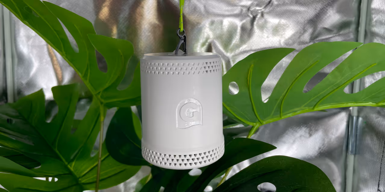 Grow sensor in test tent showing ideal placement