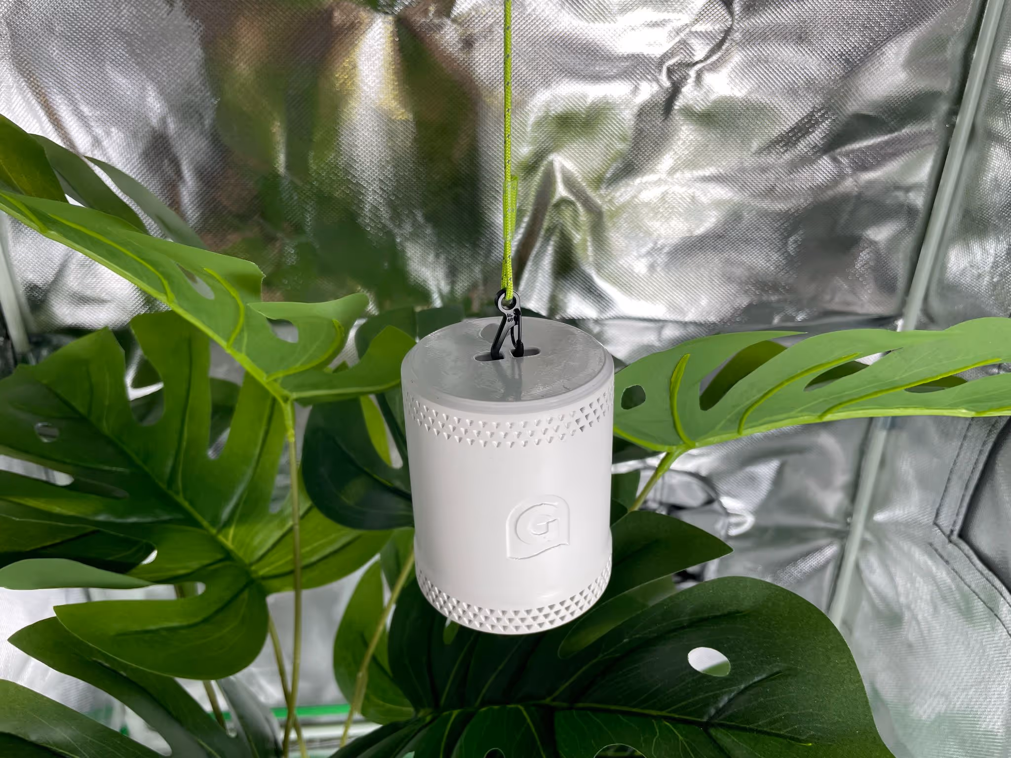 The Grow Sensor hanging shown from above