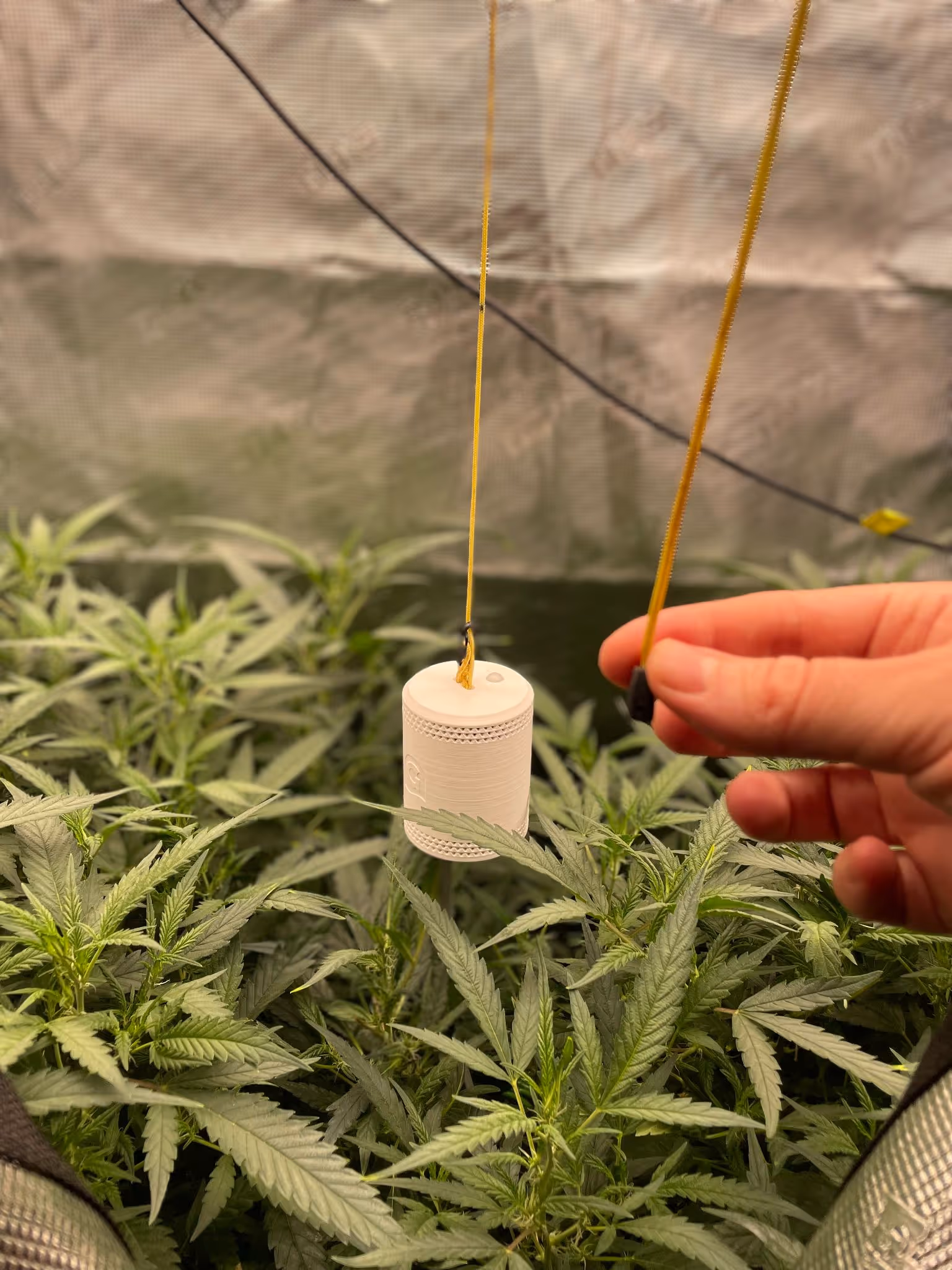 Adjusting the Grow Sensor height using the easy pull paracord