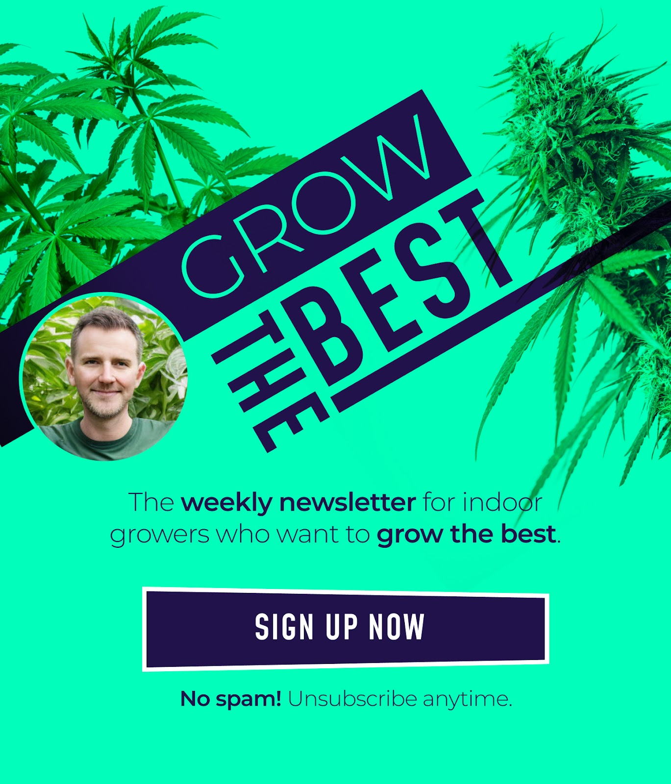 Grow The Best Newsletter signup banner