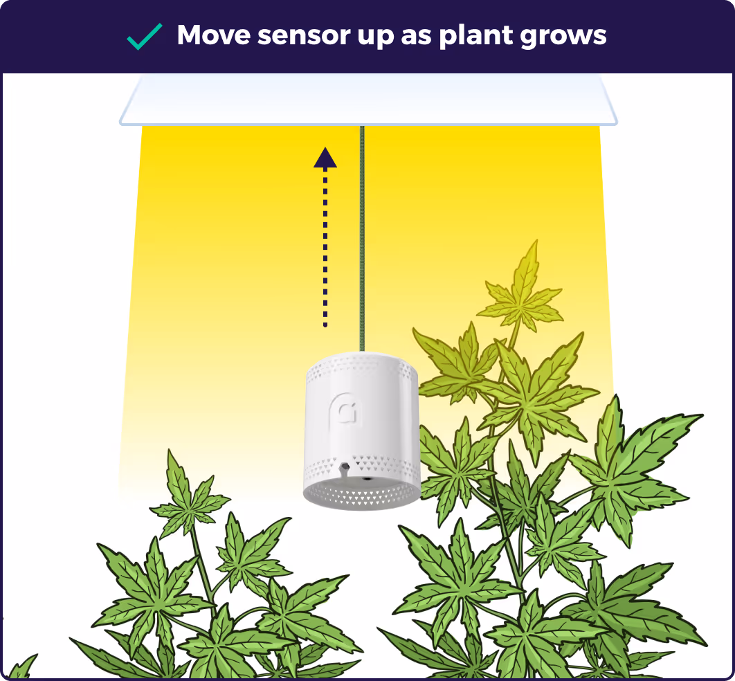 Illustration showing you need to move the sensor up as the plants grow
