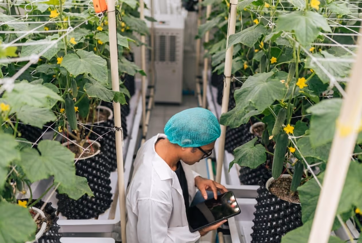 Grower taking readings for crop registration in an indoor growing facility