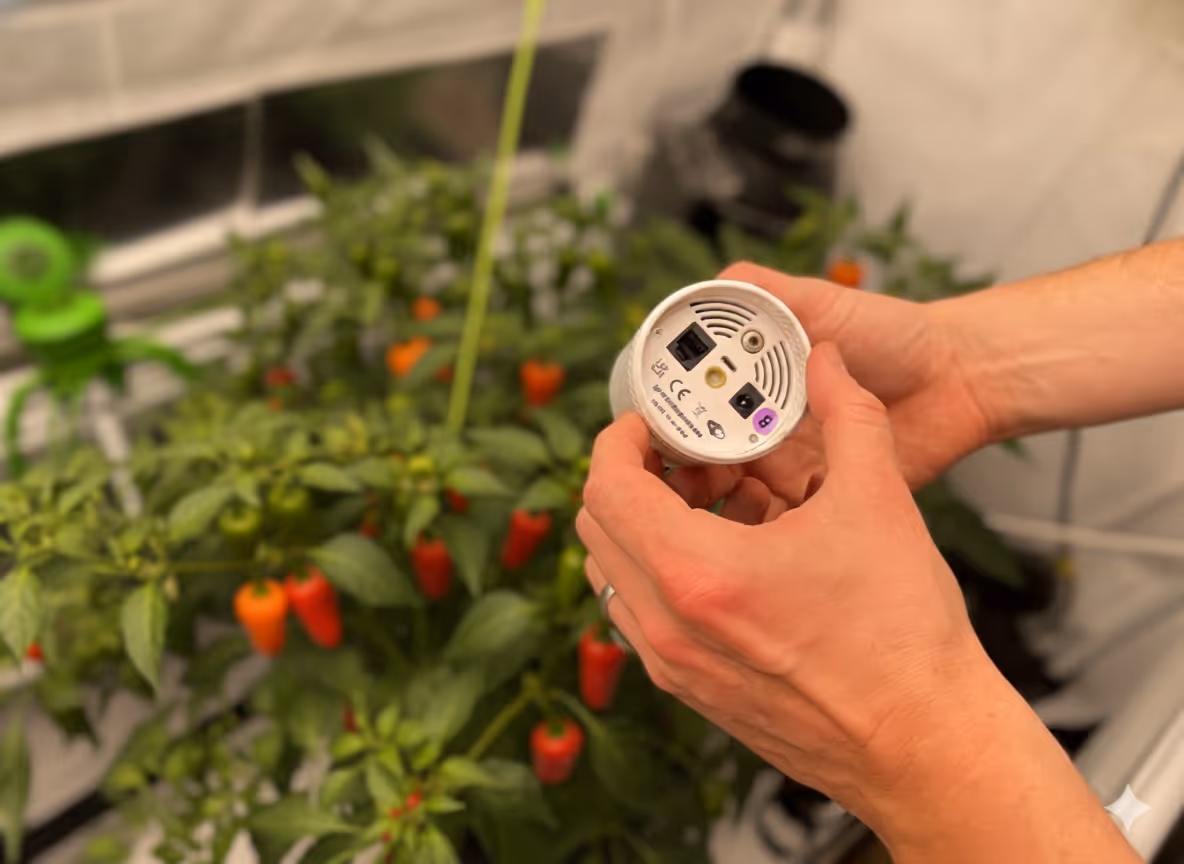 Photo of the base of the Grow Sensor