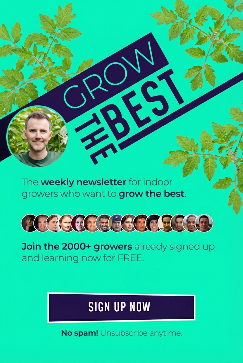 Grow the best newsletter banner