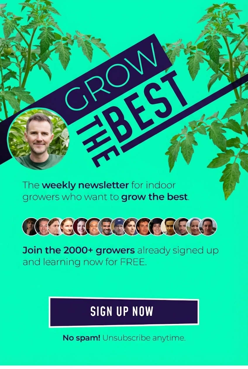 Grow the best newsletter banner