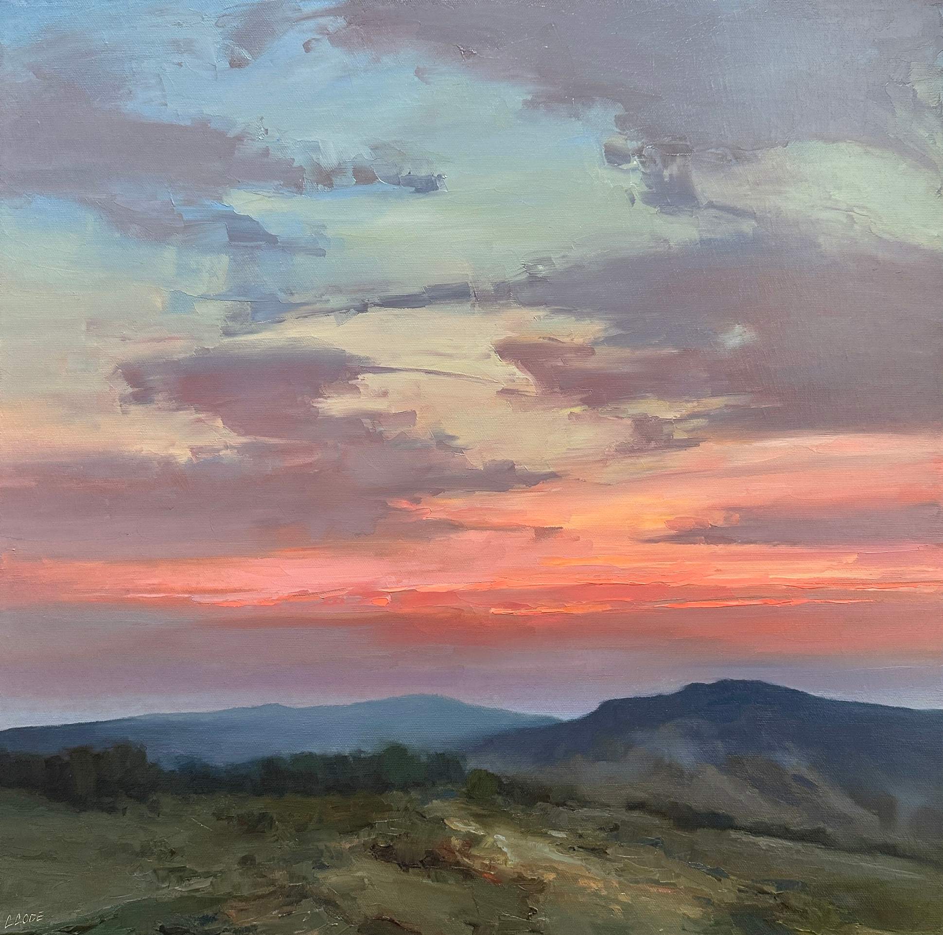"DEJA VIEW"  by Christine Code