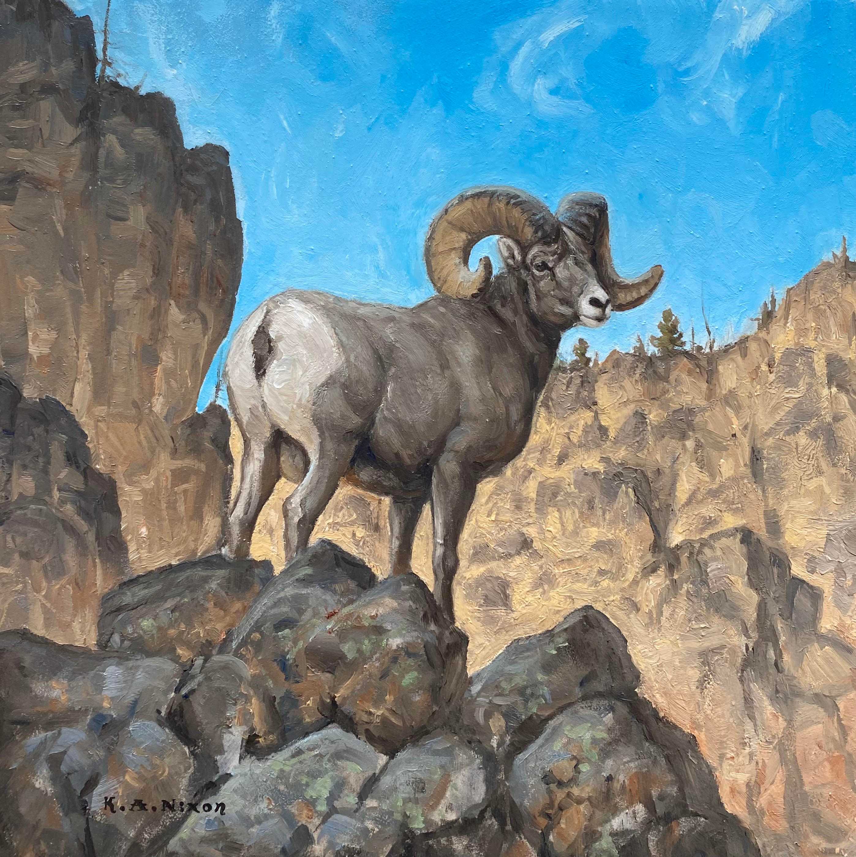 "AN UNFORGIVING LAND" by Kasey Nixon
