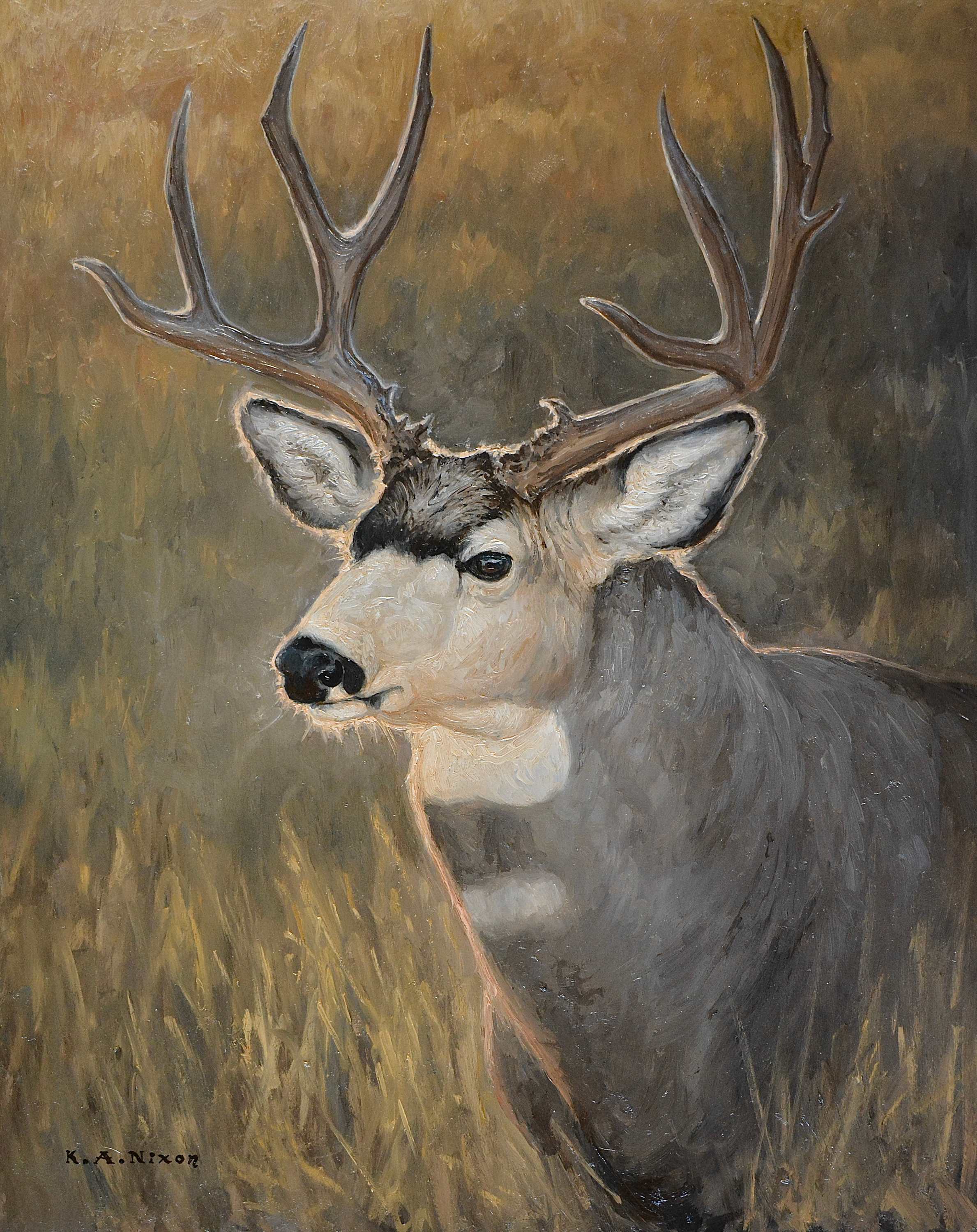"FIRST LIGHT MULEY" by Kasey Nixon
