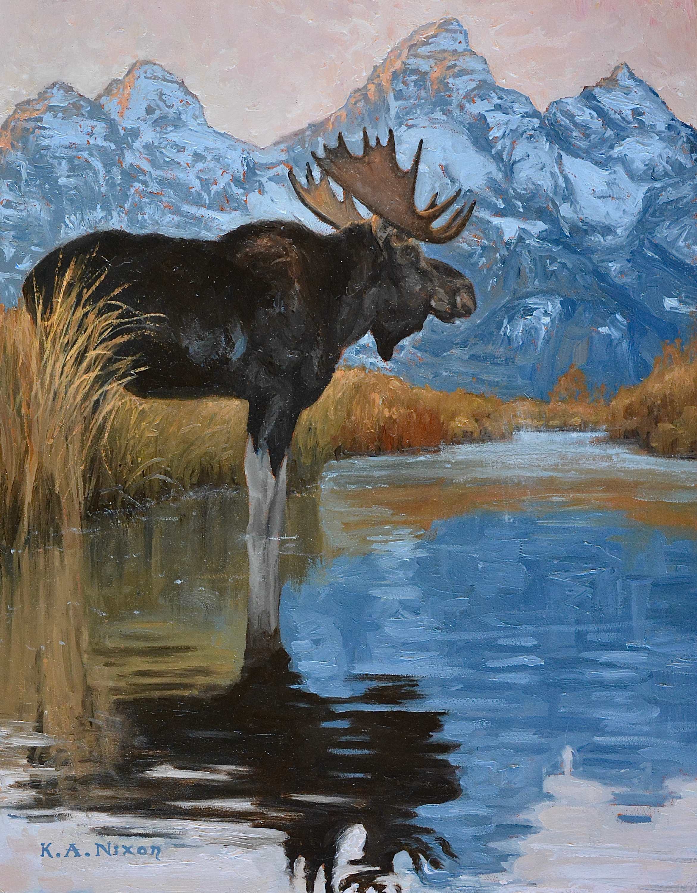 "TETON MOOSE" by Kasey Nixon