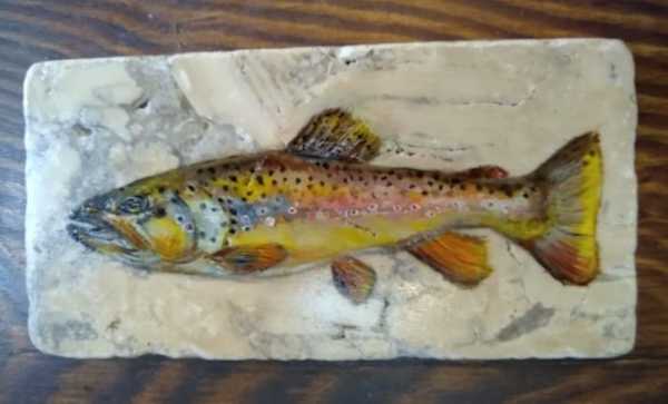 “BROWN TROUT II” by Aumi Kauffman Perry