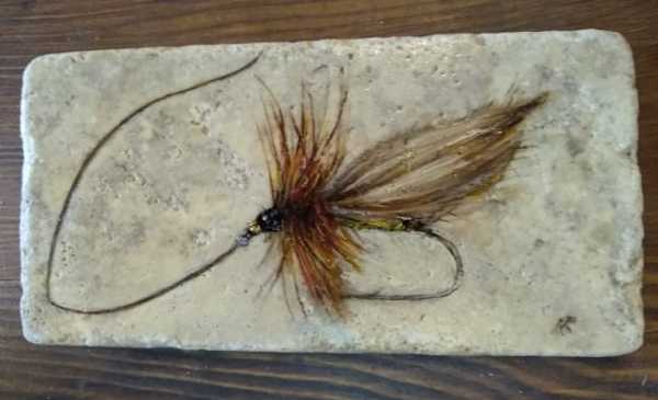 “ELKHAIR CADDIS FLY” by Aumi Kauffman Perry