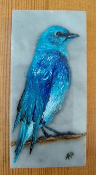 “MALE MOUNTAIN BLUEBIRD” by Aumi Kauffman PerrY