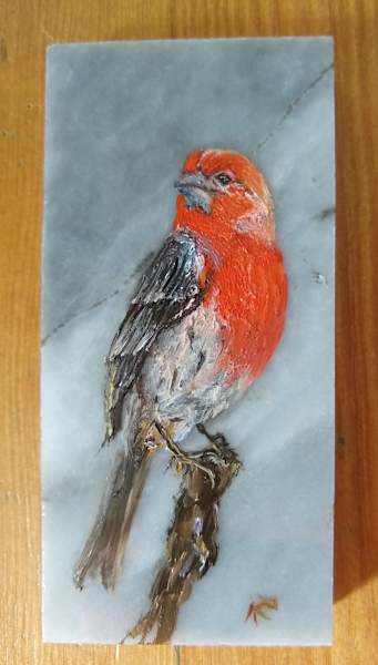 “HOUSE FINCH” by Aumi Kauffman Perry