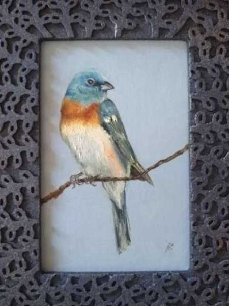 “LAZULI BUNTING” by Aumi Kauffman Perry