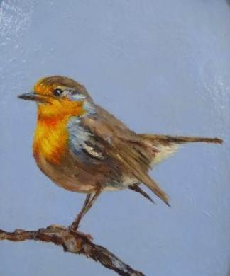“EUROPEAN ROBIN” by Aumi Kauffman Perry
