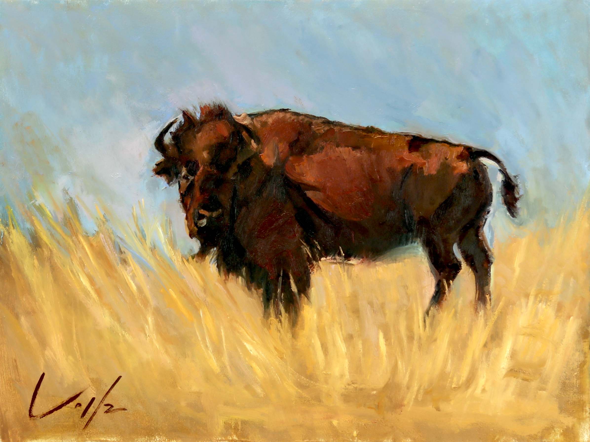 “BISON IN THE LANDSCAPE” by Coila Evans
