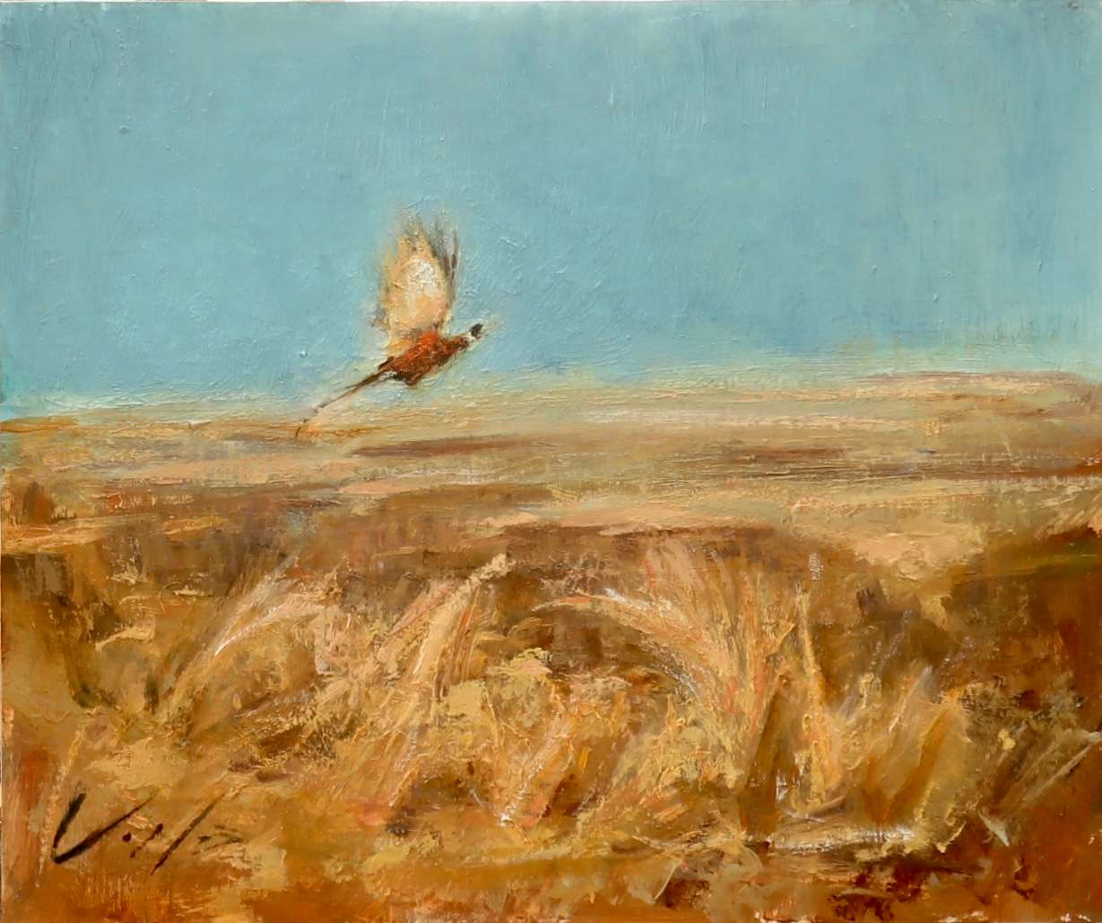 “PHEASANT IN MOTION” by Coila Evans