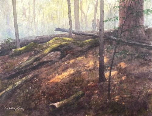"A WALK IN THE WOODS" by Susan Lynn