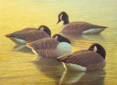 "GOLDEN SLUMBER" by Daniel Ambrose