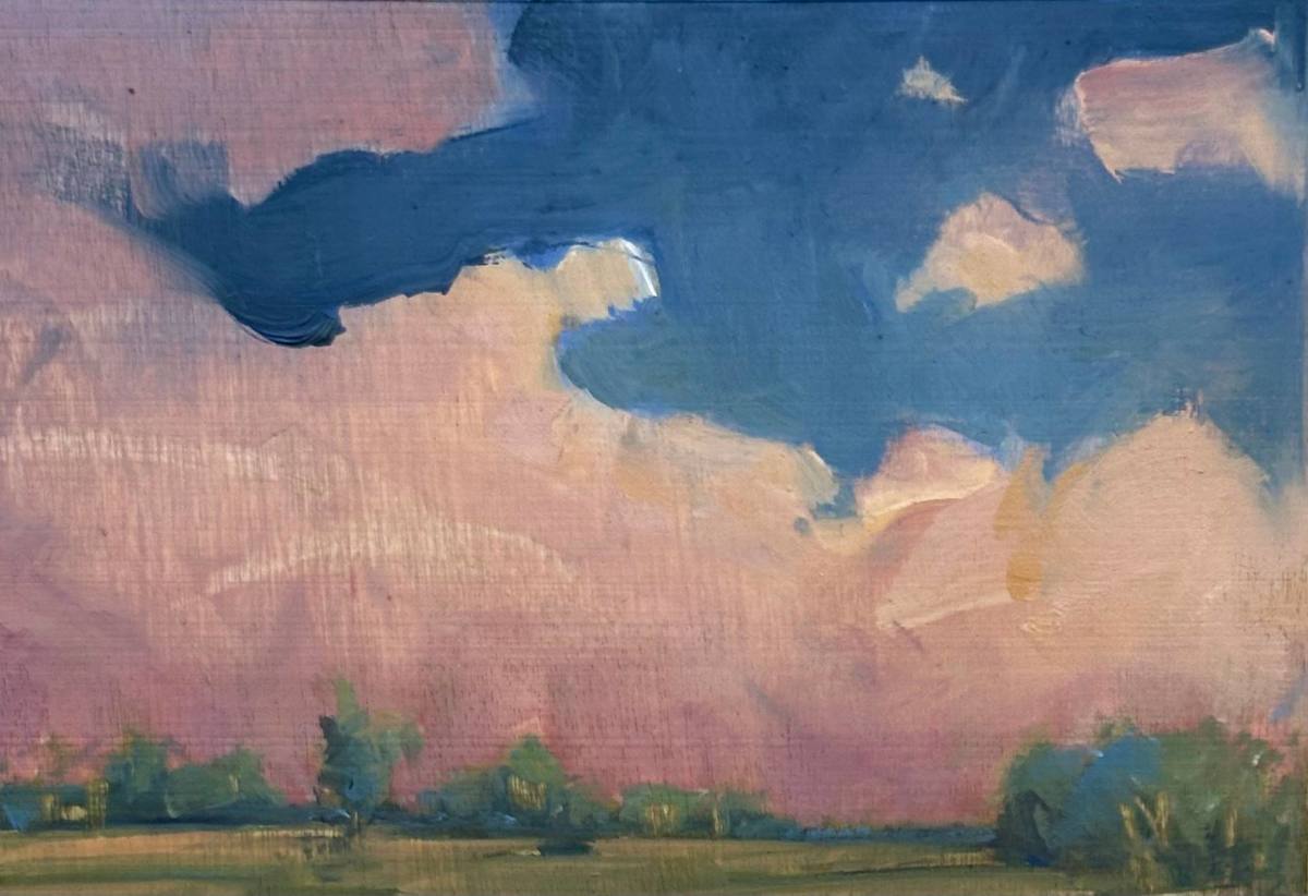 "BLUEBERRY SKY" by Stephanie Hartshorn