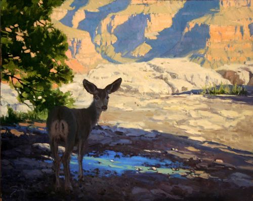 "AMONG THE SHADOWS" by Susie Hyer OPA