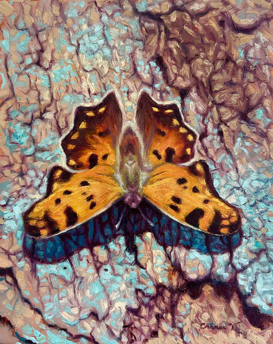 “EASTERN COMMA” by Chance Tedesco