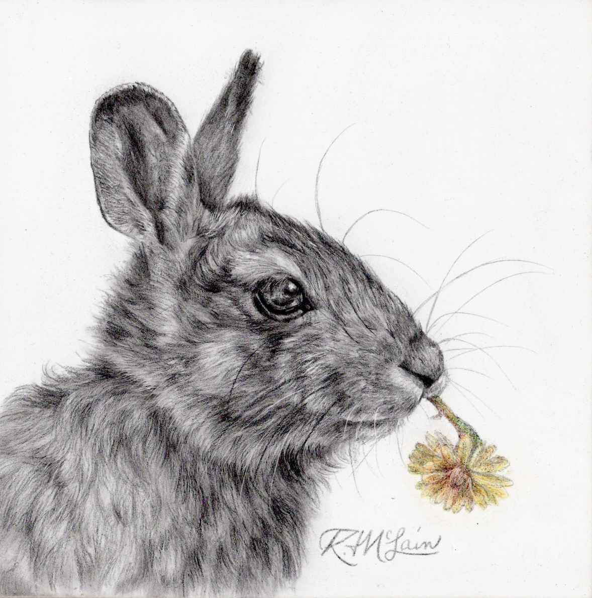 “SNACKING ON DAISIES” by Rebekah McLain