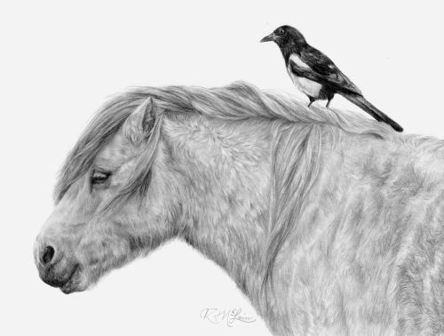 "HITCHHIKER" by Rebekah McLain