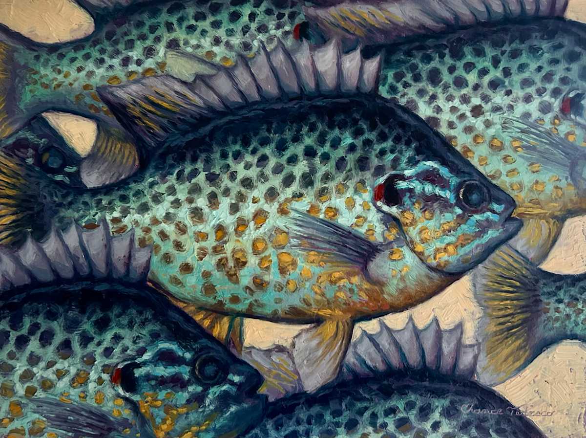 "PUMPKINSEEDS" by Chance Tedesco