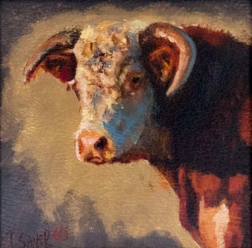 "NORMAN" by Toby Sauer