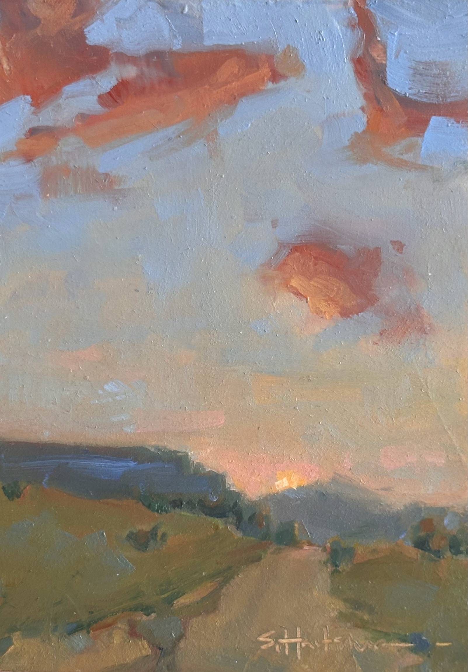 “PEACH SUNSET” by Stephanie Hartshorn
