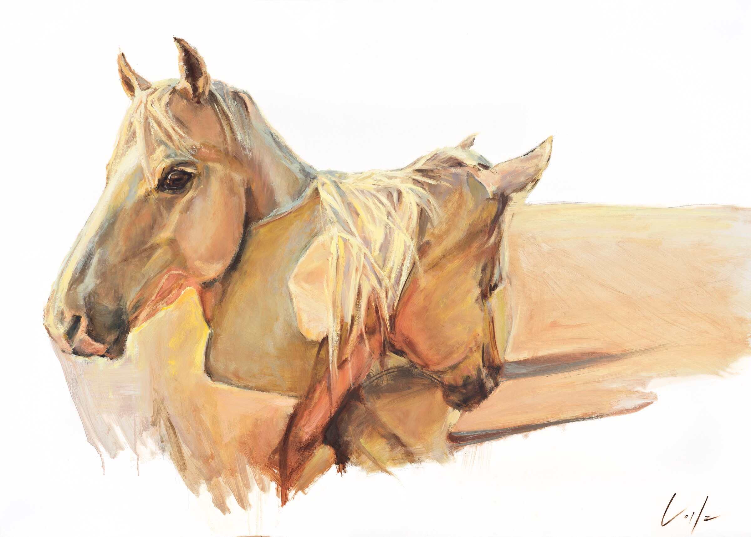 “BONDED” by Coila Evans