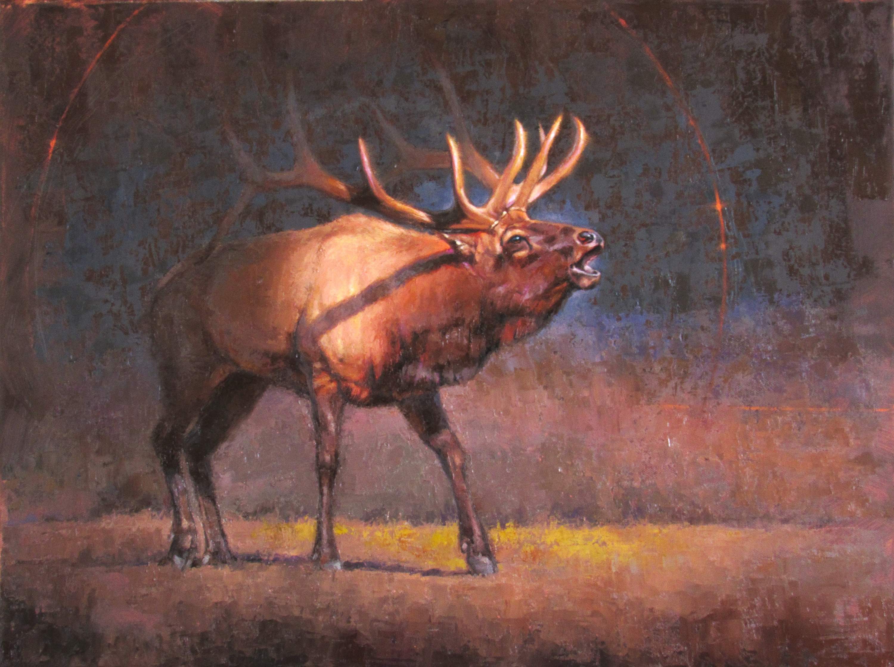 “BETWEEN LIGHT AND SHADOW” by Daren Wilding