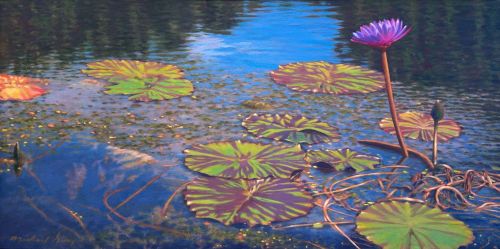 “WATER LILIES AT BROOKGREEN III” by Michael Owen Story