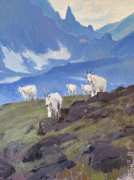 "BEARTOOTH MOUNTAIN GOATS" by Tyler Murphy