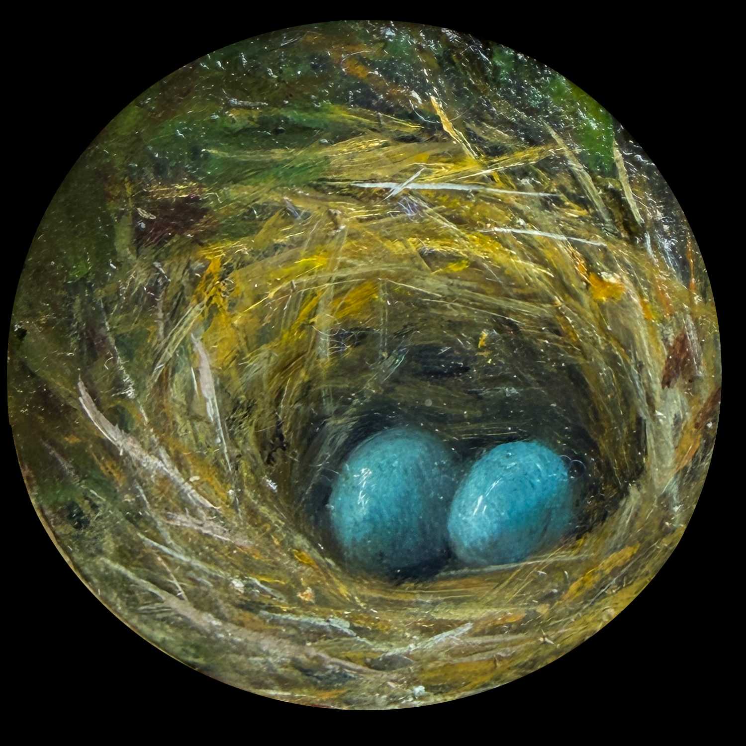 “BLUE BEGINNINGS” by Sue Barrasi