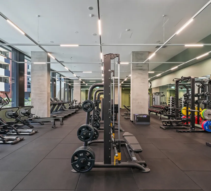 The gym