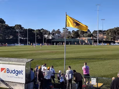 Box Hill City Oval