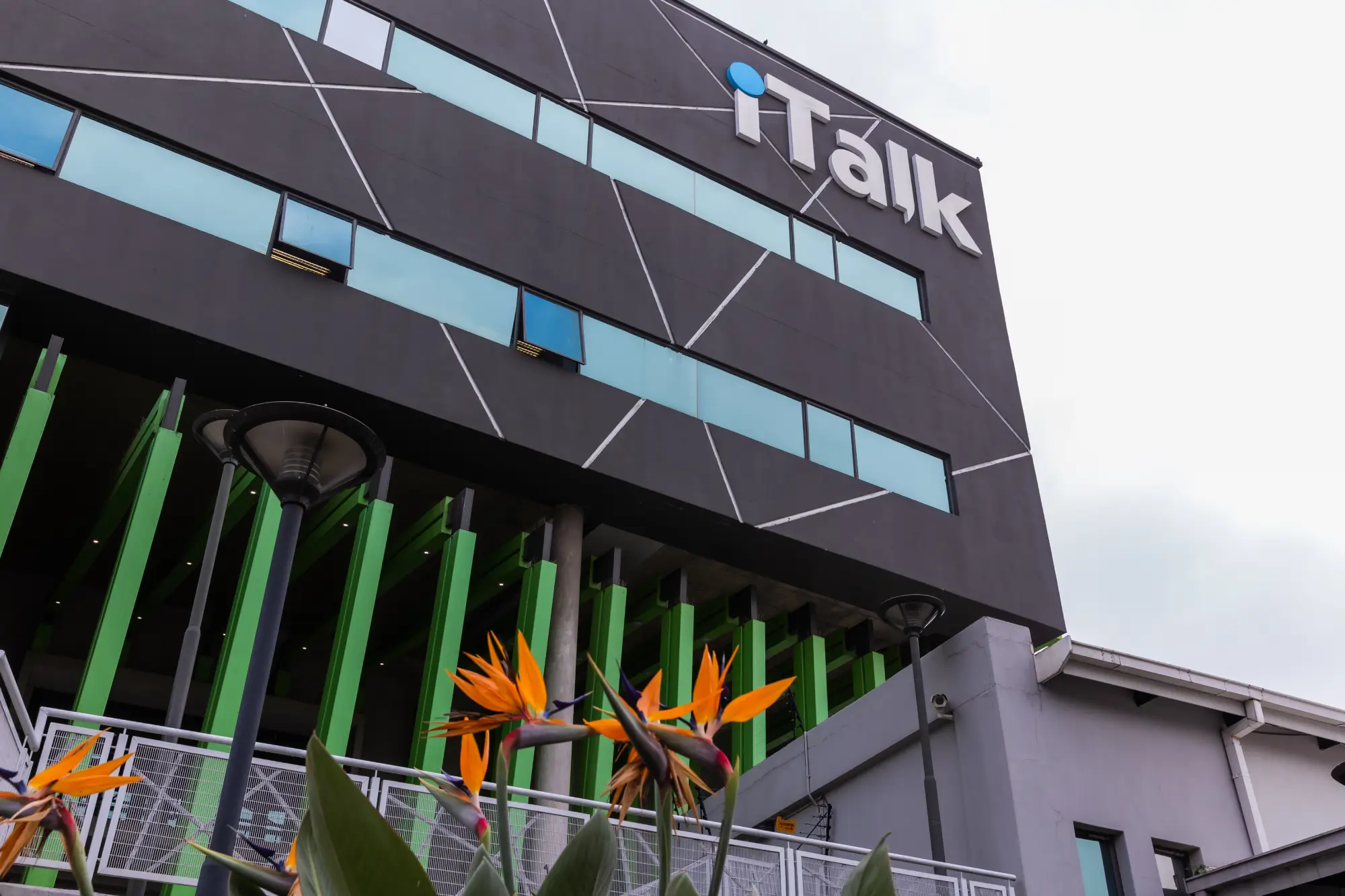 Modern gray building with green pillars and orange bird-of-paradise flowers in front.