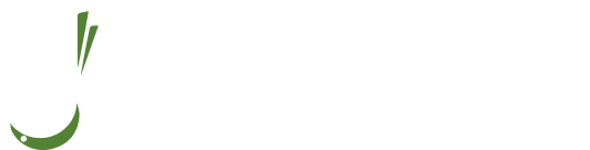 seo-case stydy project icon 