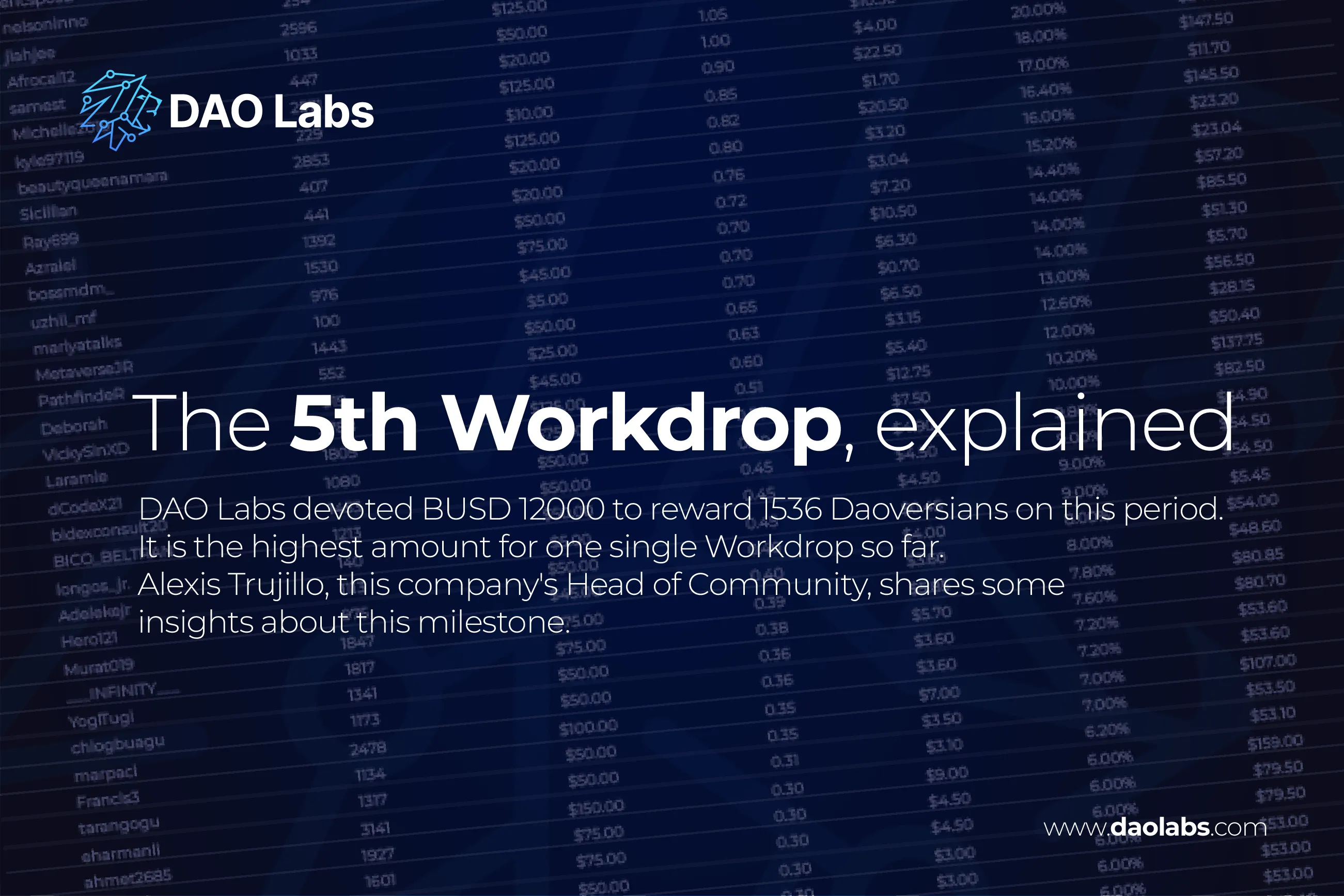 The 5th DAOVERSE Workdrop, explained